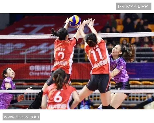 成都排球队战术引发热议球迷与专家观点大碰撞